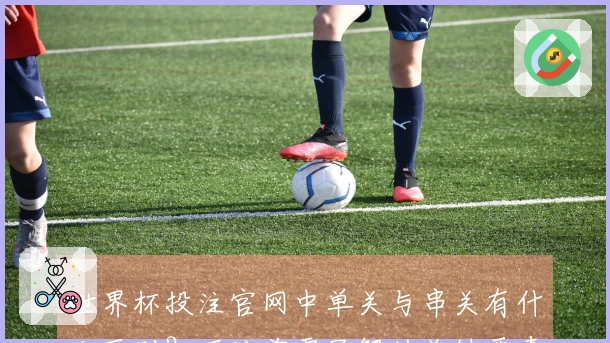 世界杯投注官网中单关与串关有什么区别？下注前需了解的关键要素