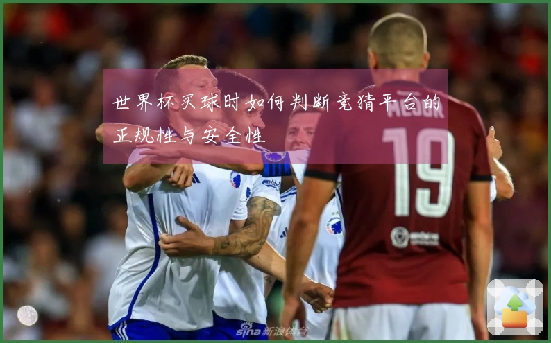 世界杯买球时如何判断竞猜平台的正规性与安全性
