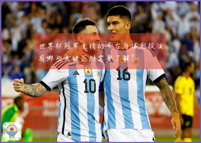 世界杯冠军竞猜的平台与体彩投注有哪些关键区别需要了解？
