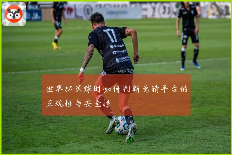 世界杯买球时如何判断竞猜平台的正规性与安全性