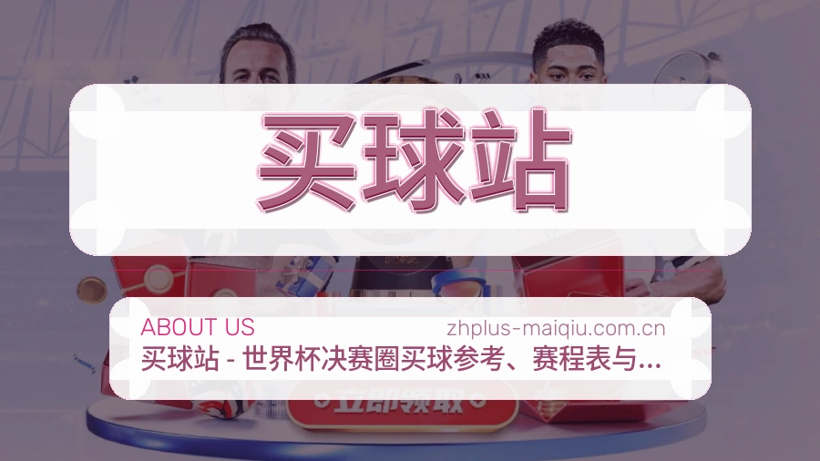 买球站平台服务价值介绍